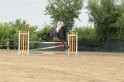 IMGB9236