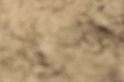 IMGB9251