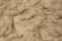 IMGB9288