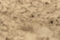 IMGB9320