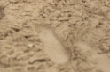 IMGB9362