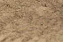 IMGB9425