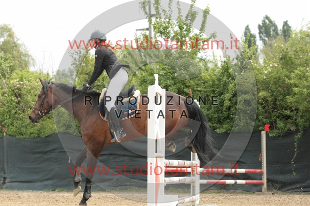 IMGB9447.JPG
