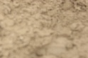 IMGB9525