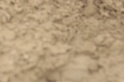 IMGB9526