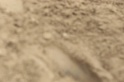 IMGB9552