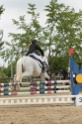 IMGB9557