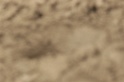 IMGB9570