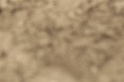 IMGB9572