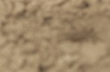 IMGB9595
