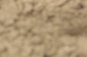 IMGB9596