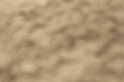 IMGB9599