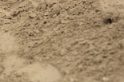 IMGB9624