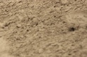IMGB9625