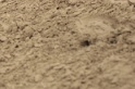 IMGB9626