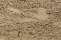 IMGB9689