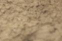 IMGB9708