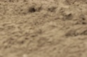 IMGB9740