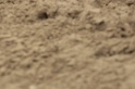 IMGB9741