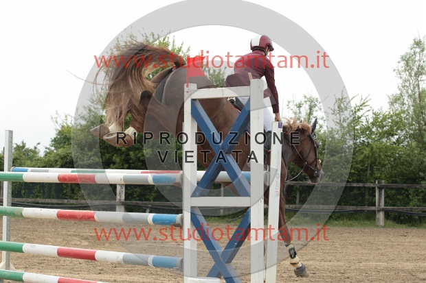 IMGB0045.JPG