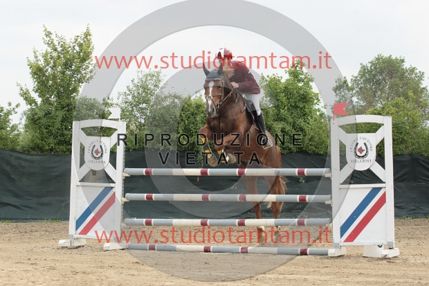 IMGB0049.JPG