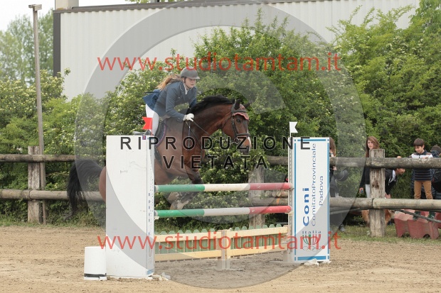 IMGB0131.JPG