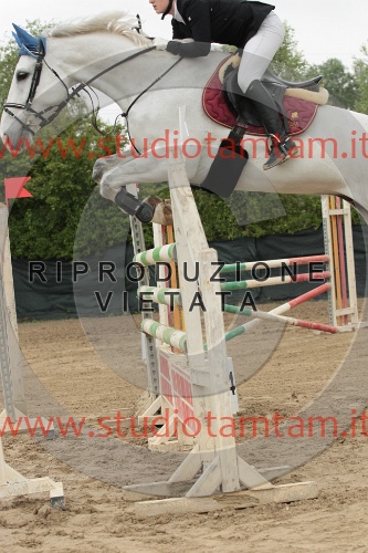 IMGB0152.JPG