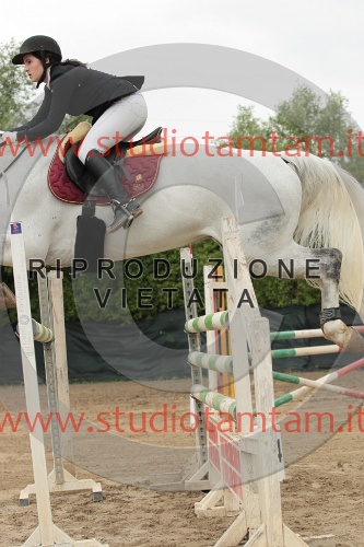 IMGB0153.JPG