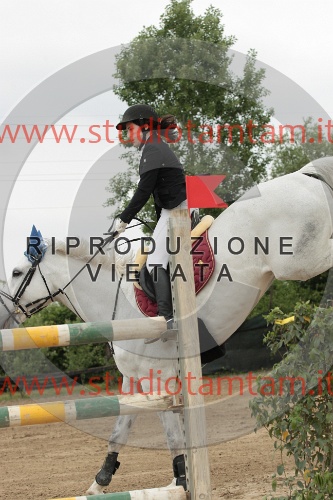 IMGB0155.JPG
