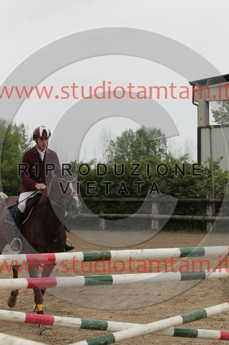 IMGB0206.JPG