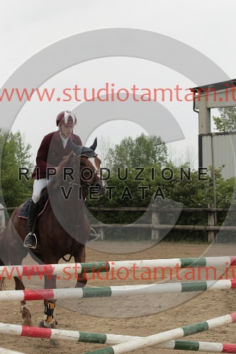 IMGB0207.JPG