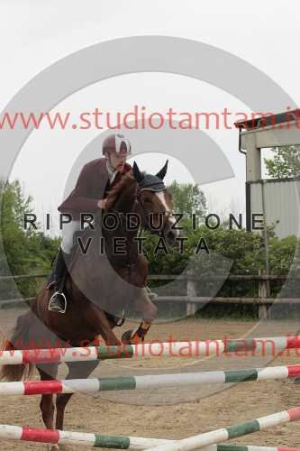 IMGB0208.JPG