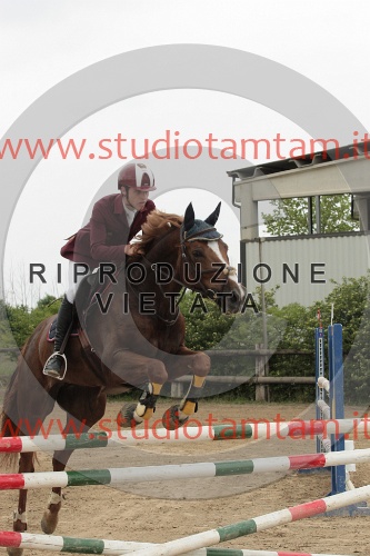 IMGB0209.JPG