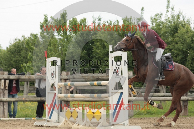 IMGB0212.JPG