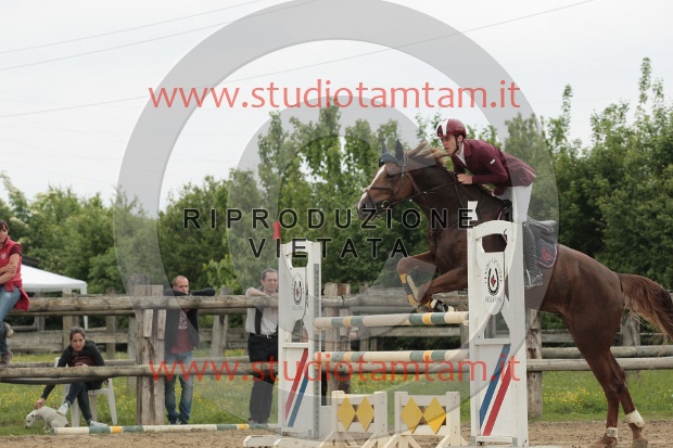 IMGB0213.JPG