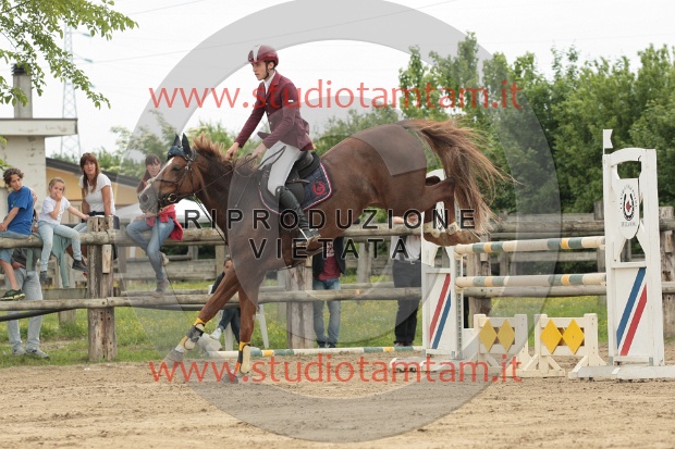 IMGB0216.JPG