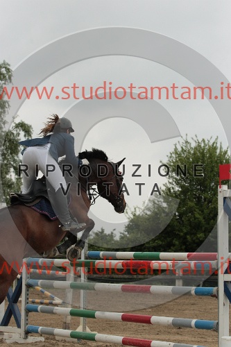 IMGB0222.JPG