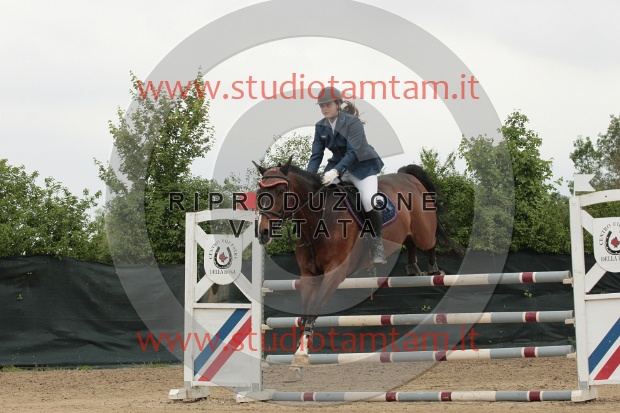 IMGB0230.JPG