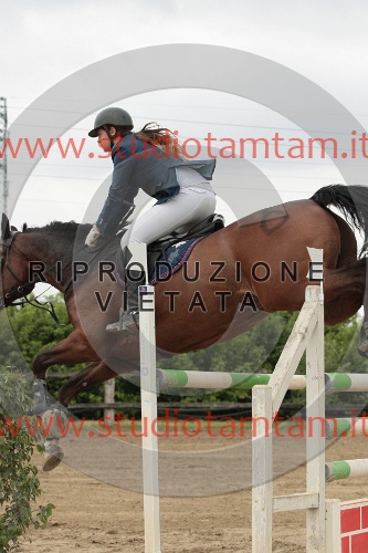 IMGB0233.JPG
