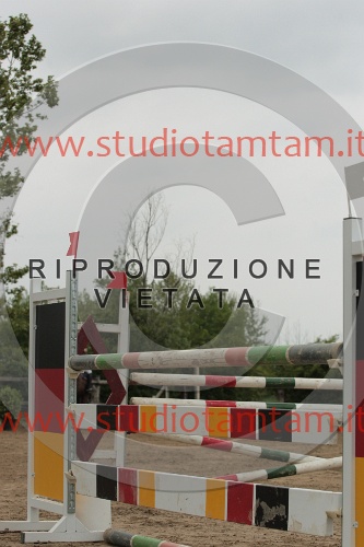 IMGB0235.JPG