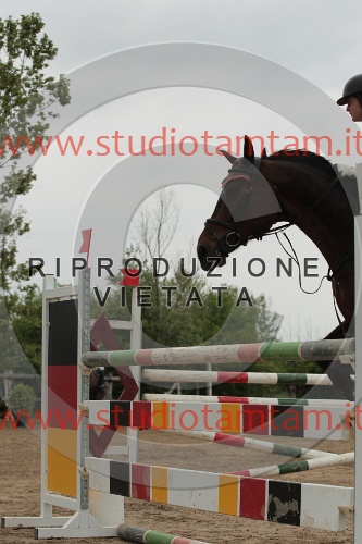 IMGB0236.JPG