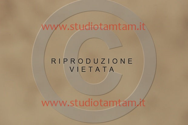 IMGB0251.JPG