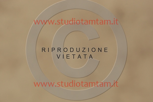 IMGB0252.JPG