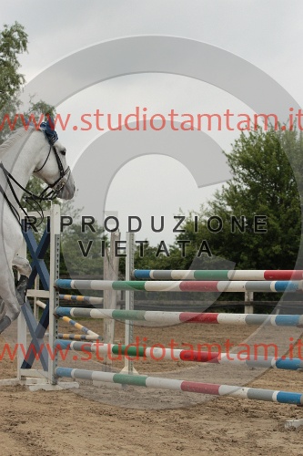 IMGB0257.JPG