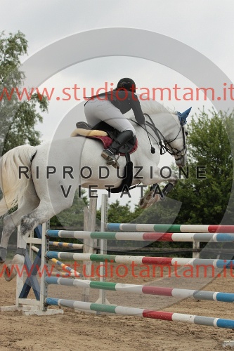 IMGB0259.JPG