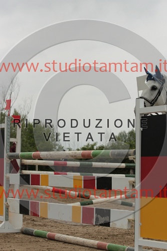 IMGB0266.JPG