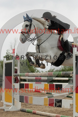 IMGB0268.JPG