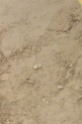 IMGB0082
