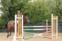 IMGB0095