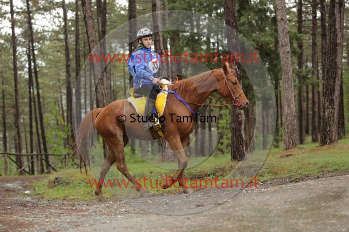 MAT_8031.JPG